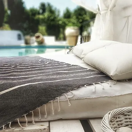 Turtles & Hammock Poolside Prive Villa Siviri