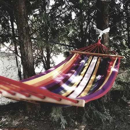 ヴィラ Turtles & Hammock Poolside Prive