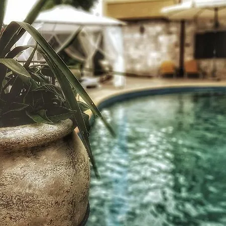 Turtles & Hammock Poolside Prive *